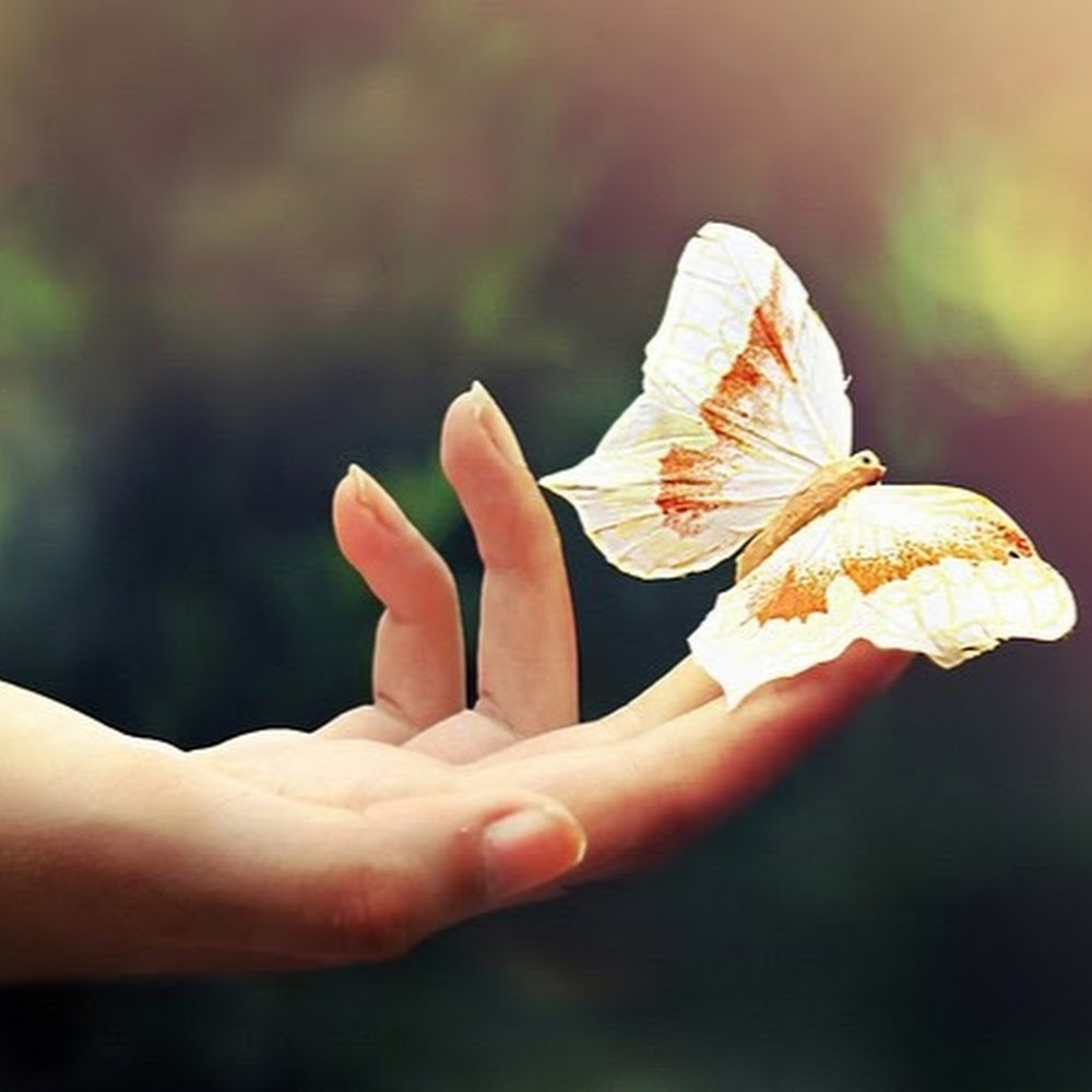 Meet your Posher, Irina